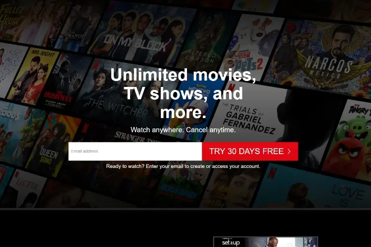 Netflix-   Movie Site Link